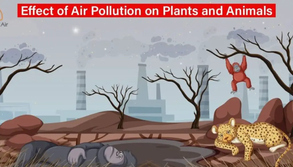 como-afecta-la-contaminacion-a-los-animales-y-las-plantas
