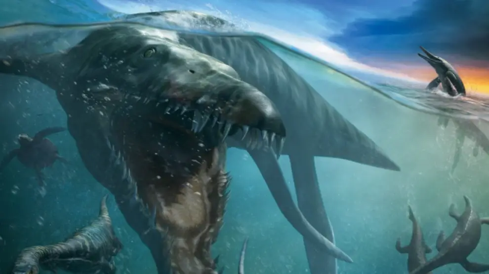 Animales marinos gigantes de la prehistoria +Video