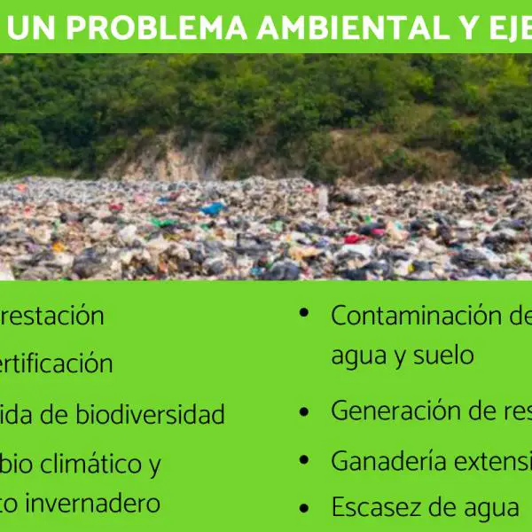 ¿Cuáles son los principales problemas ambientales en el mundo?