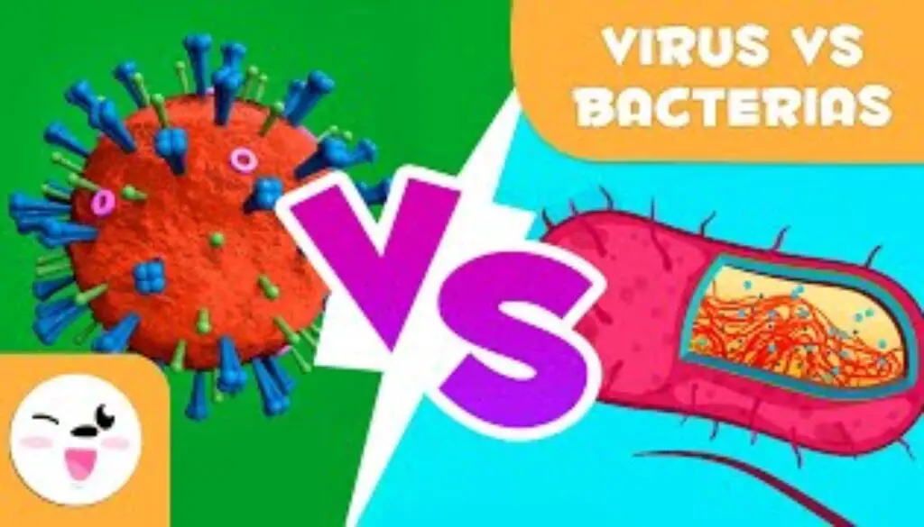 que-es-mas-peligroso-un-virus-o-una-bacteria