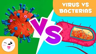¿Qué es más peligroso un virus o una bacteria?