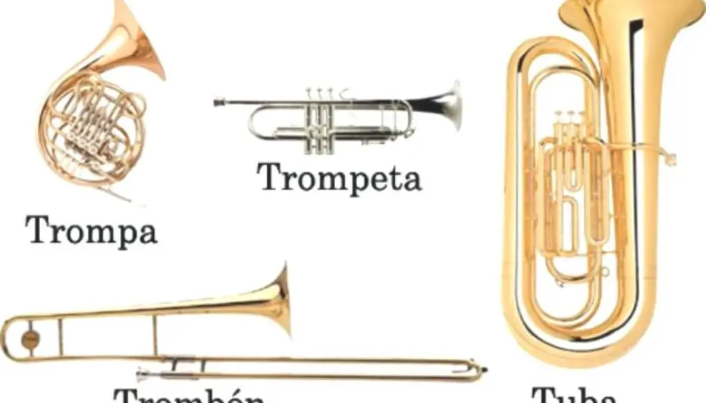 tuba-descubre-las-curiosidades-del-potente-instrumento-que-marca-el-ritmo-en-la-musica