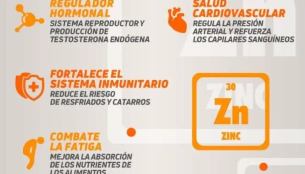 zinc-curiosidades-sobre-el-mineral-que-desarrolla-un-papel-esencial-en-nuestro-organismo