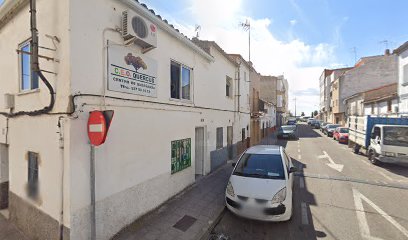 C.E.O QUERCUS en Coria, Cáceres