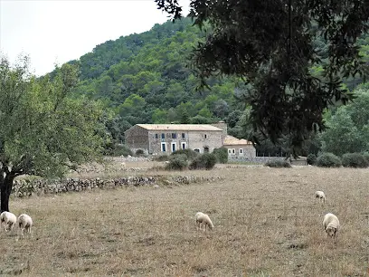 Camp d’Aprenentatge Binifaldo en Cala tuent – sa calobra, Baleares