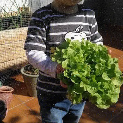 Canclau Madre de Dia en Alquerias del niño perdid, Castellón