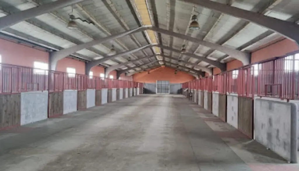 Imagen-del-centro-formativo-Centro-Hipico-Cardiel-en-El-cardiel-Valladolid