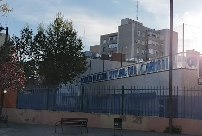 Centro Privado de Ensenanza Ntra. Sra. del Carmen en Mostoles, Madrid