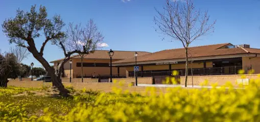 Colegio Nova Hispalis en Sevilla la nueva, Madrid
