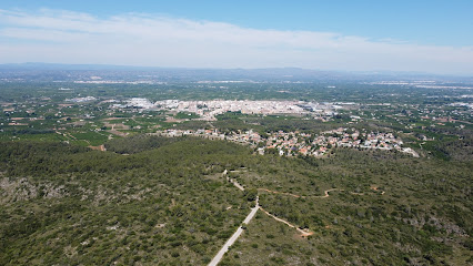 DRONFLIES en Carcaixent, Valencia