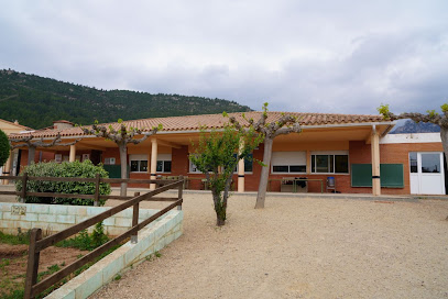 Escuela Publica Santa Marina en Planas del rey, Tarragona