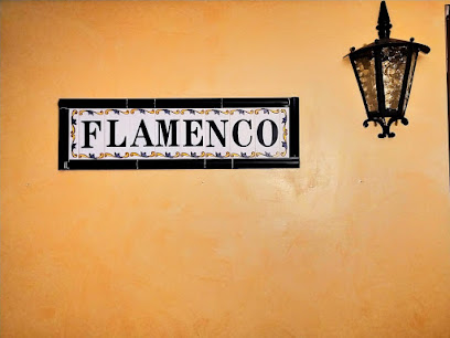 Escuela de Flamenco Diana Regano en Villanueva de la cañada, Madrid