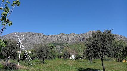 Granja Escuela Baladre en Beniarbeig, Alicante