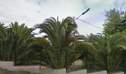 IES San Nicolas en El sauzal, Santa Cruz de Tenerife