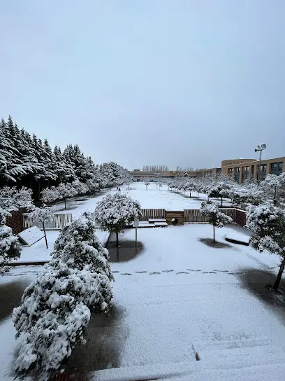 Paz de Ziganda Ikastola en Villava/atarrabia, Navarra